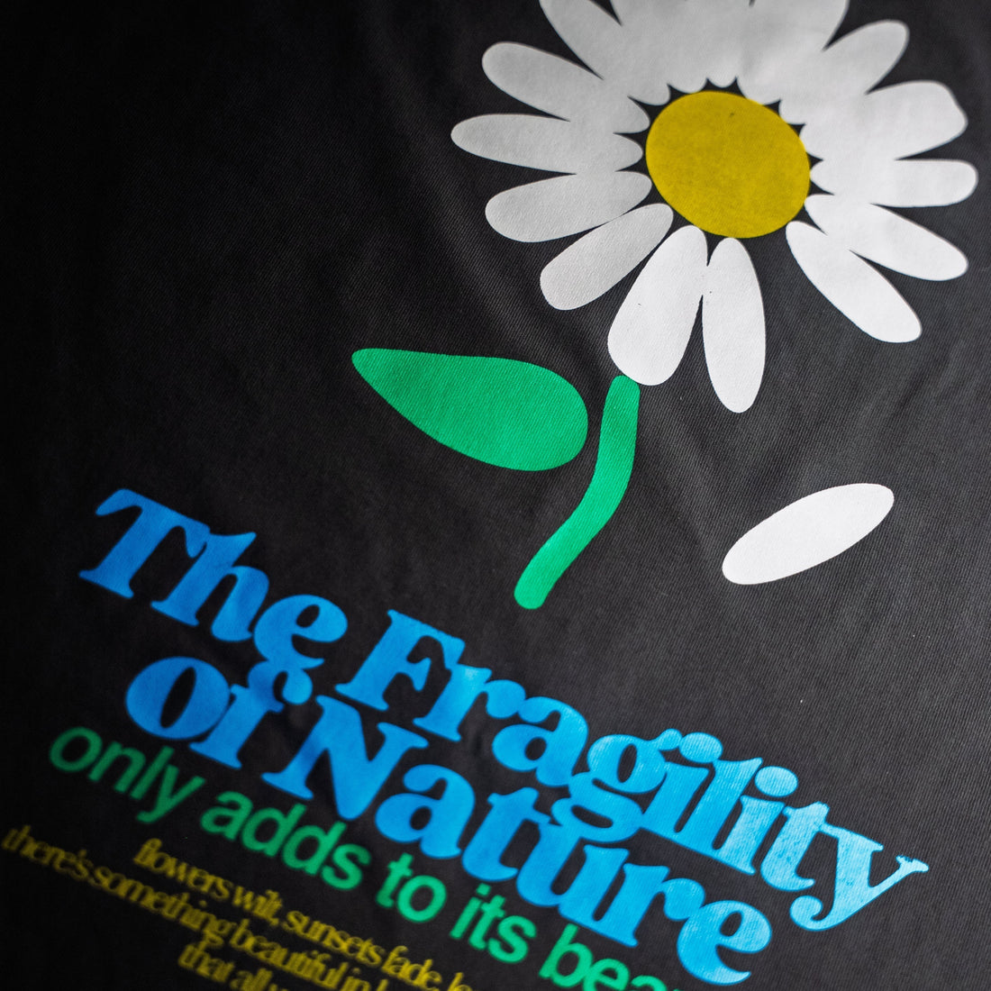 The Fragility of Nature: There's beauty in knowing nothing lasts forever