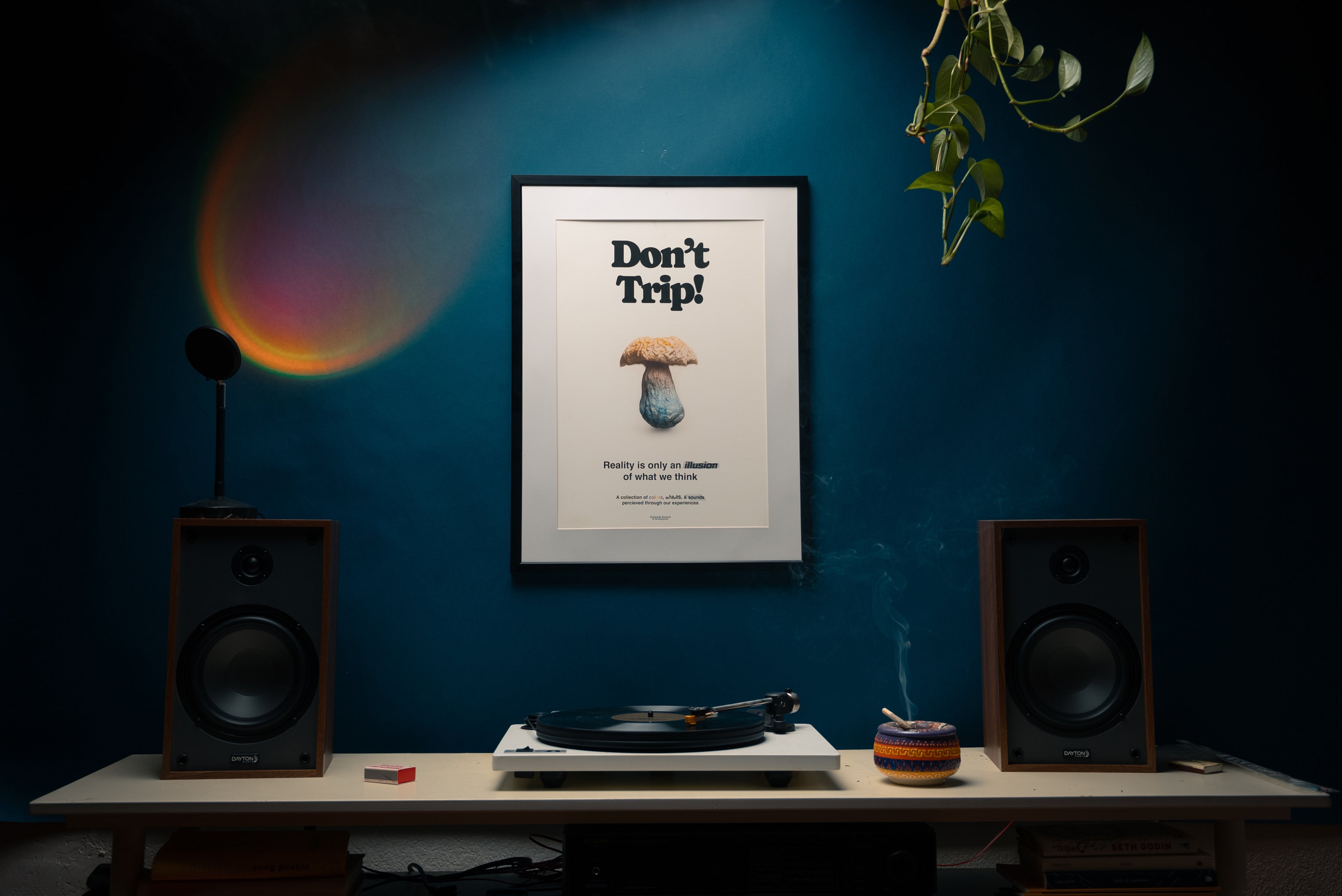 "Don't Trip" Print