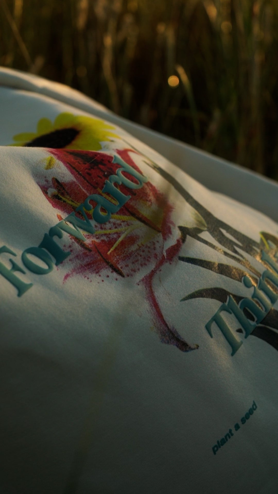 Forward Thinking Crewneck Sunset Shot