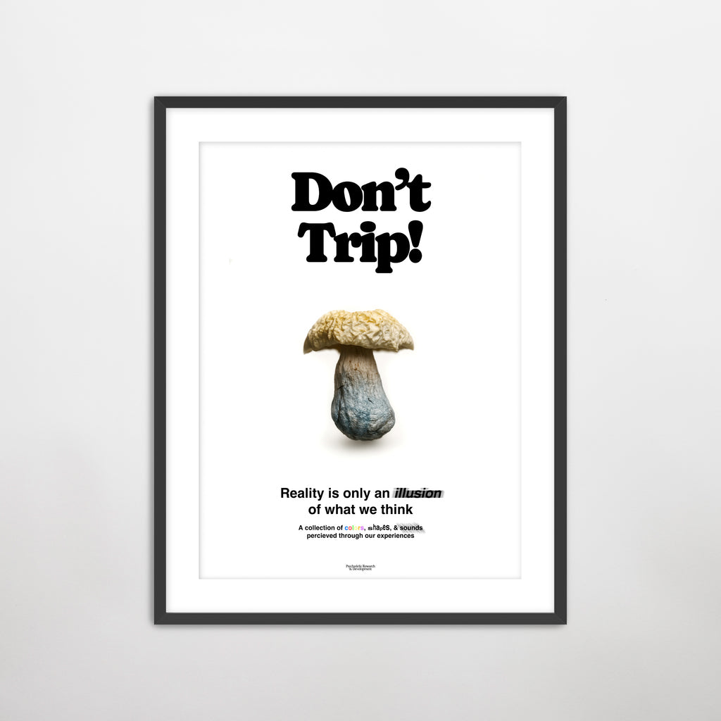 "Don't Trip" Print