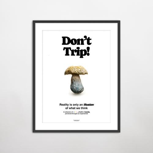 "Don't Trip" Print