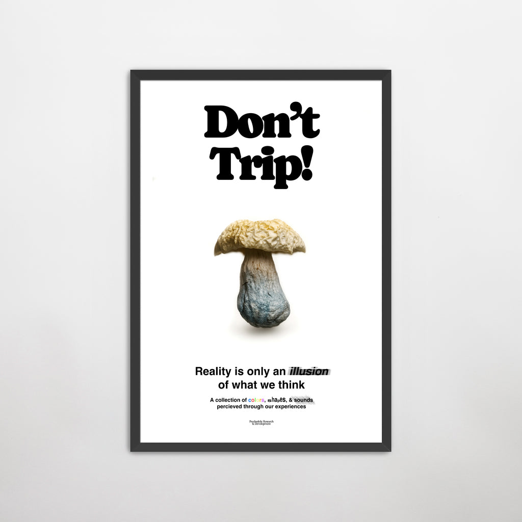 "Don't Trip" Print